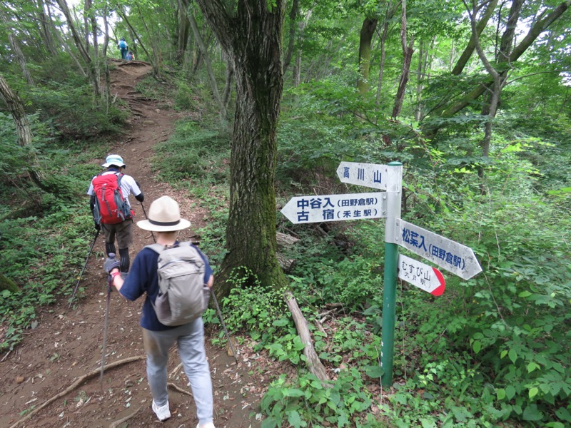 高川山