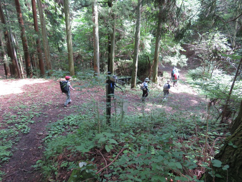 高川山