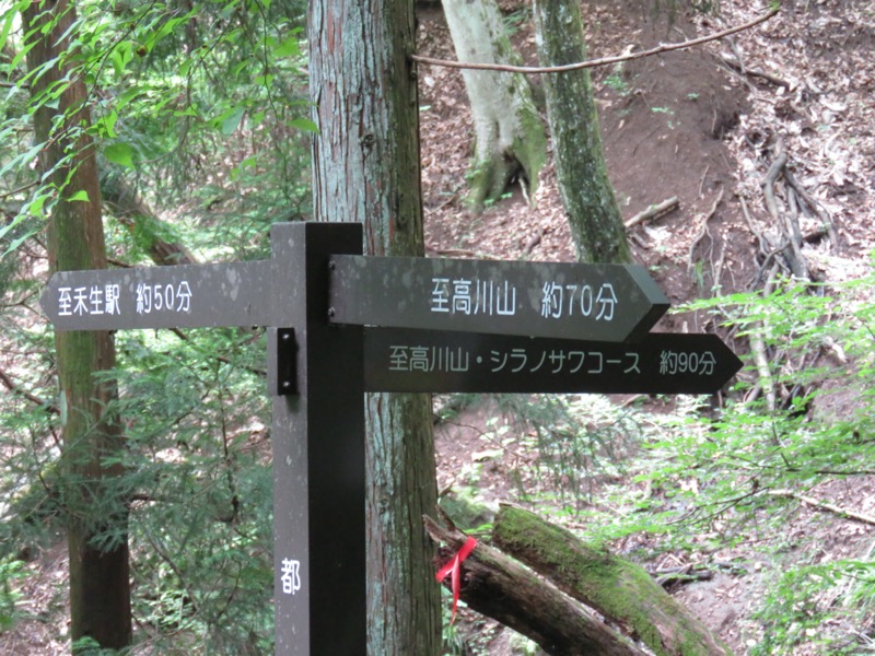 高川山