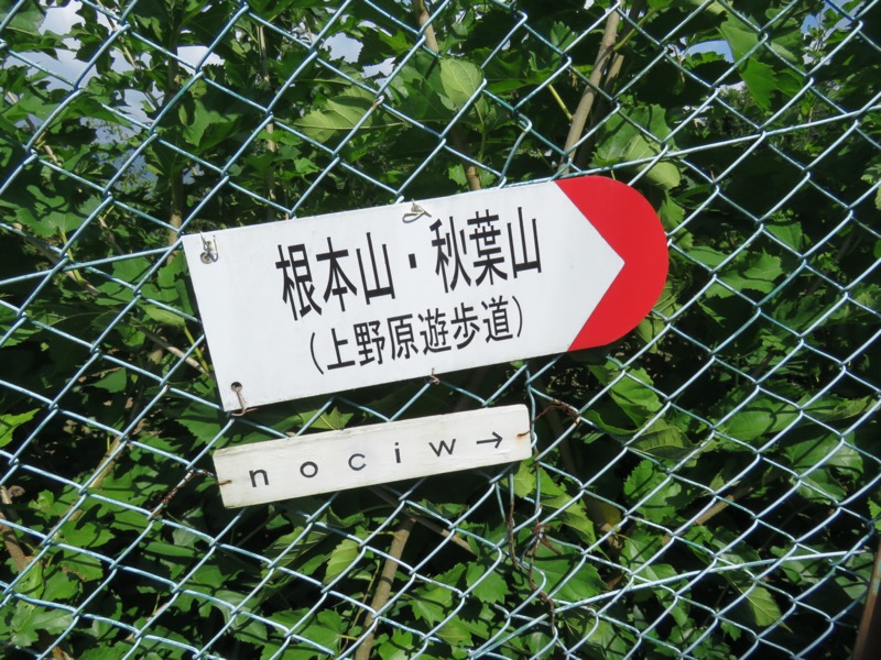 能岳