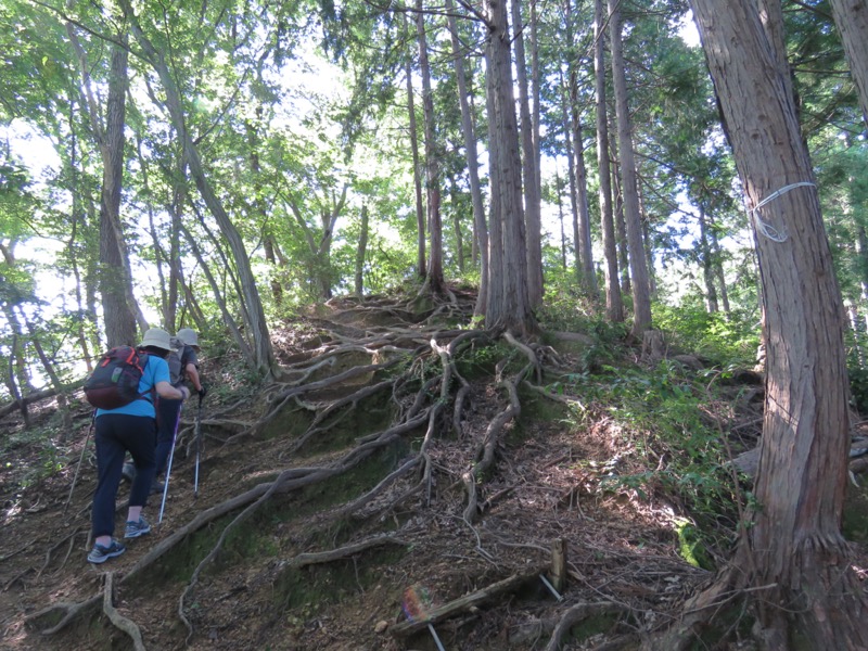 南高尾山稜