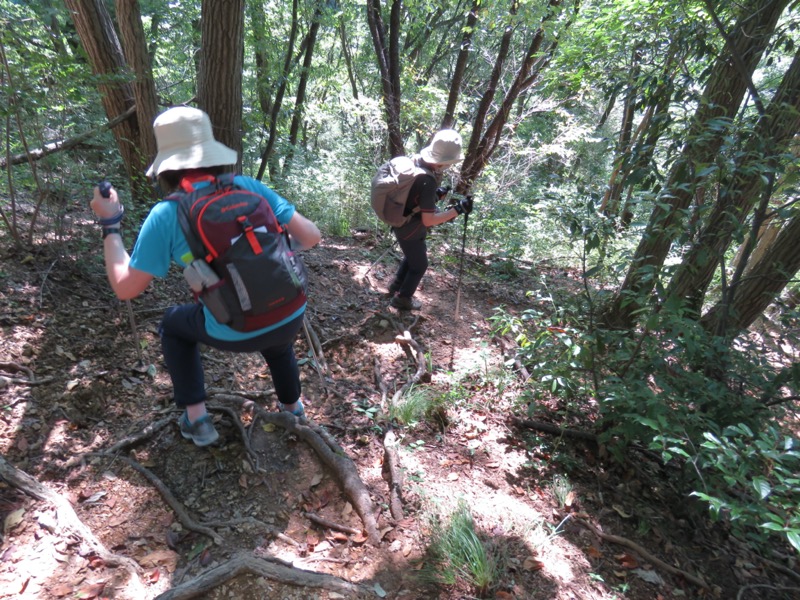 南高尾山稜