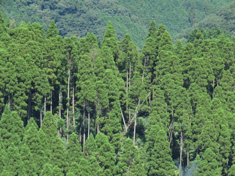 南高尾山稜