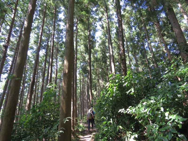 南高尾山稜