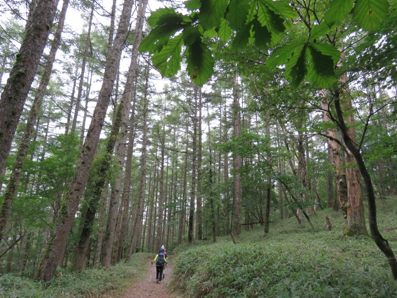 大菩薩嶺