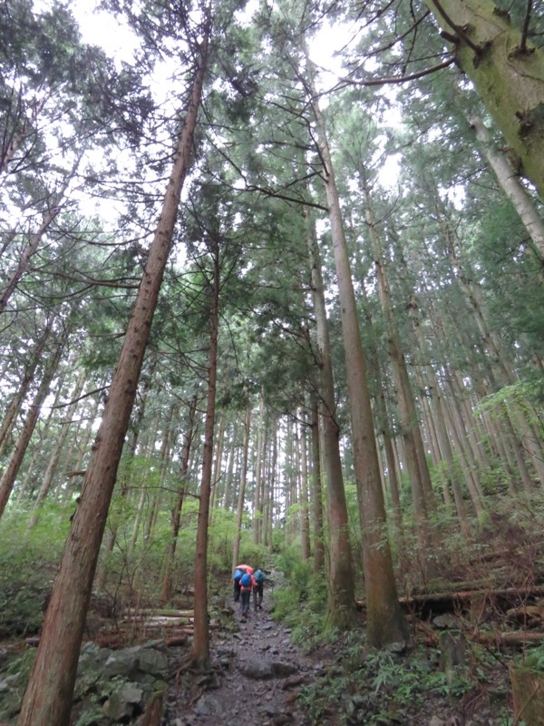 白谷沢、棒ノ嶺