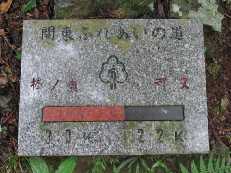 白谷沢、棒ノ嶺