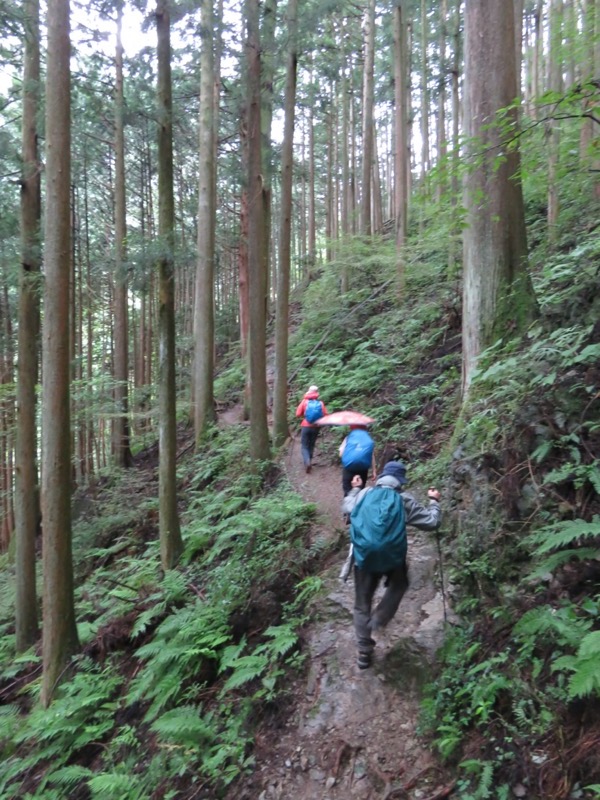 白谷沢、棒ノ嶺