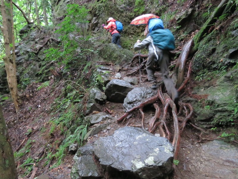 白谷沢、棒ノ嶺