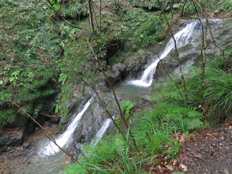 白谷沢、棒ノ嶺