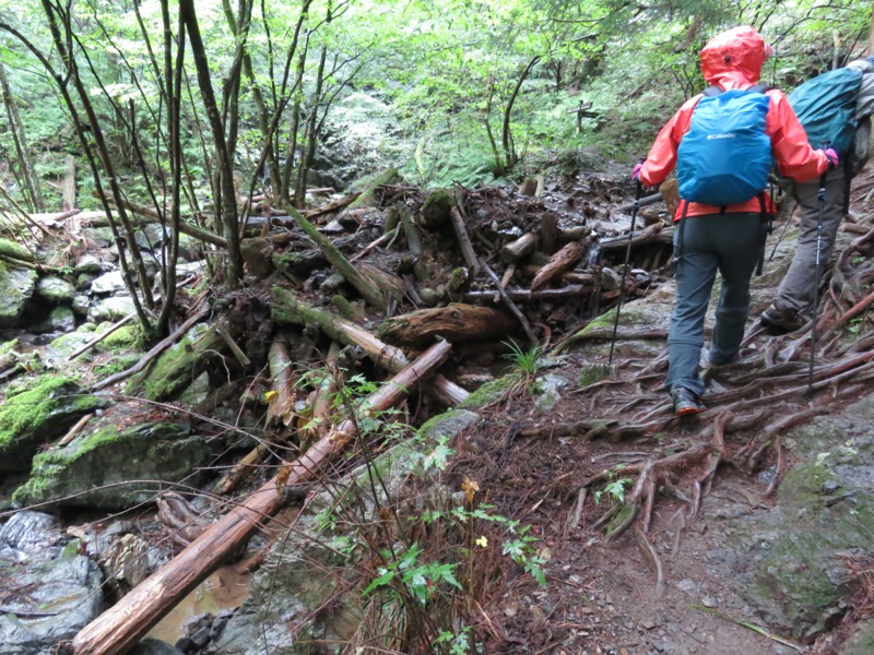 白谷沢、棒ノ嶺