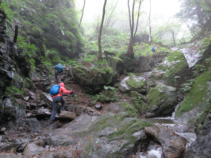 白谷沢、棒ノ嶺