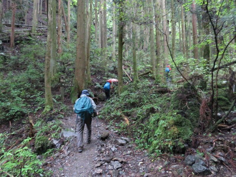 白谷沢、棒ノ嶺