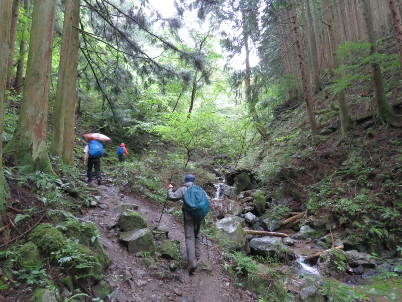 白谷沢、棒ノ嶺