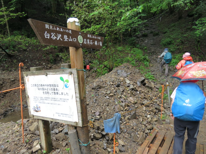 白谷沢、棒ノ嶺