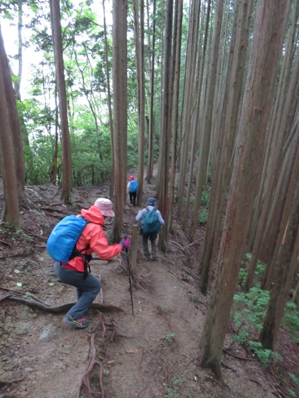 白谷沢、棒ノ嶺