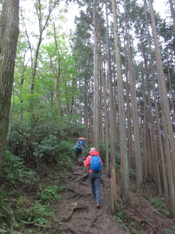 白谷沢、棒ノ嶺