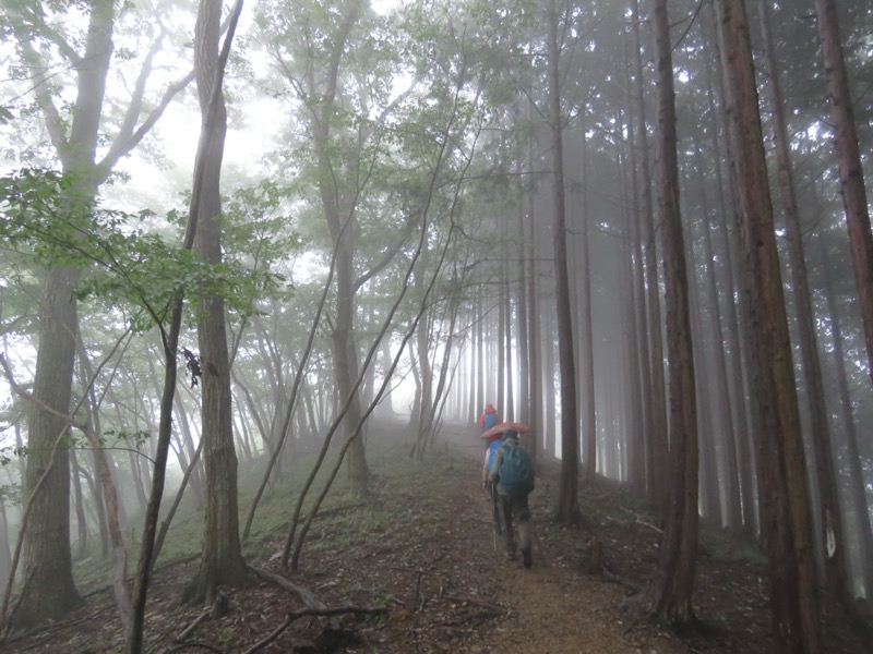 白谷沢、棒ノ嶺