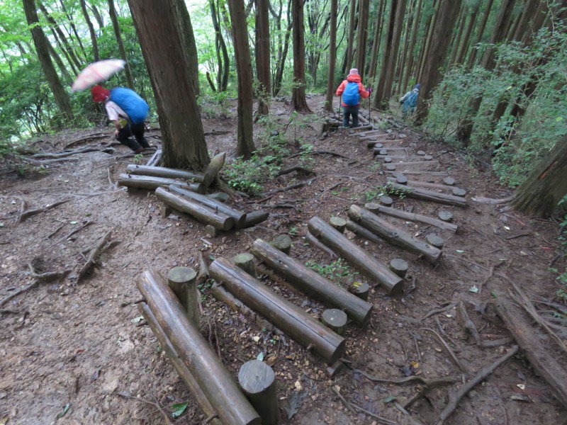 白谷沢、棒ノ嶺