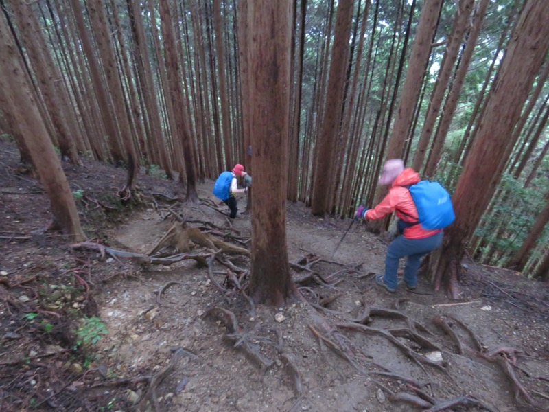 白谷沢、棒ノ嶺