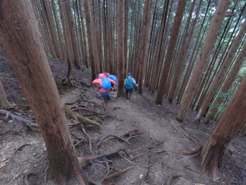 白谷沢、棒ノ嶺