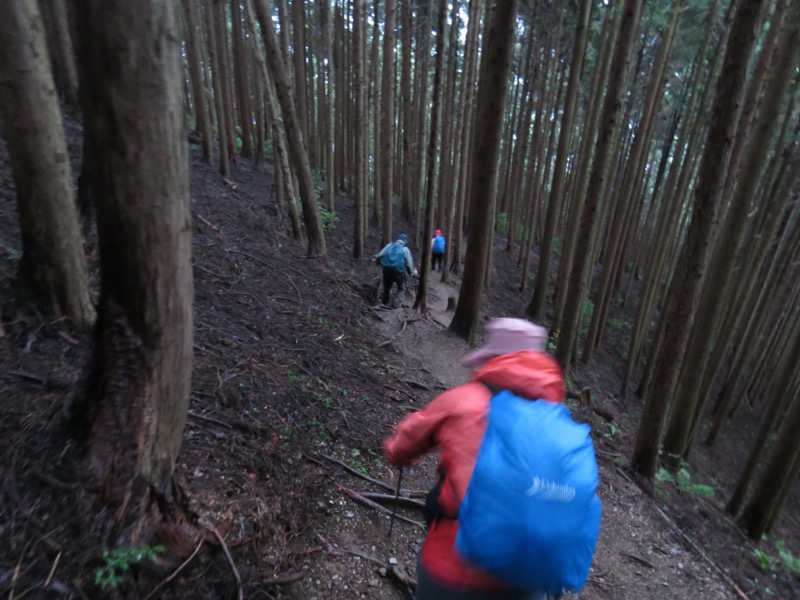 白谷沢、棒ノ嶺