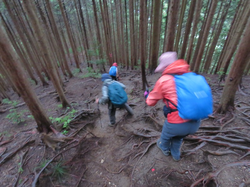 白谷沢、棒ノ嶺