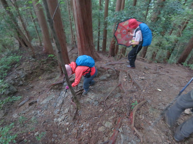 白谷沢、棒ノ嶺