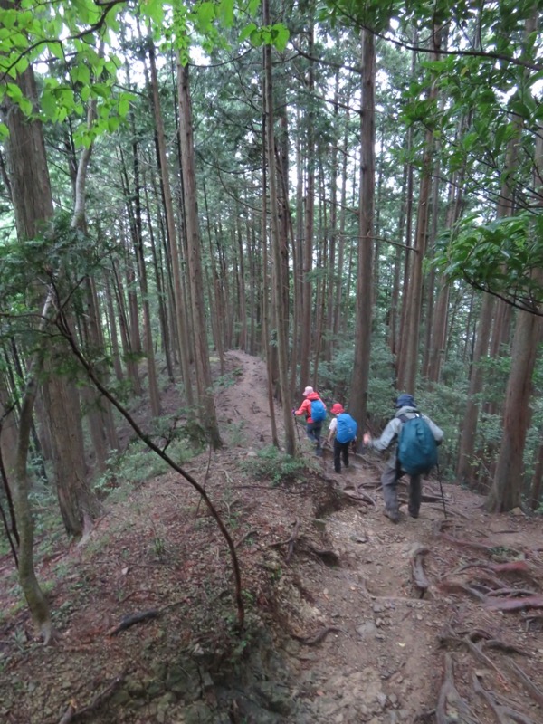 白谷沢、棒ノ嶺