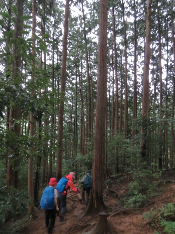 白谷沢、棒ノ嶺