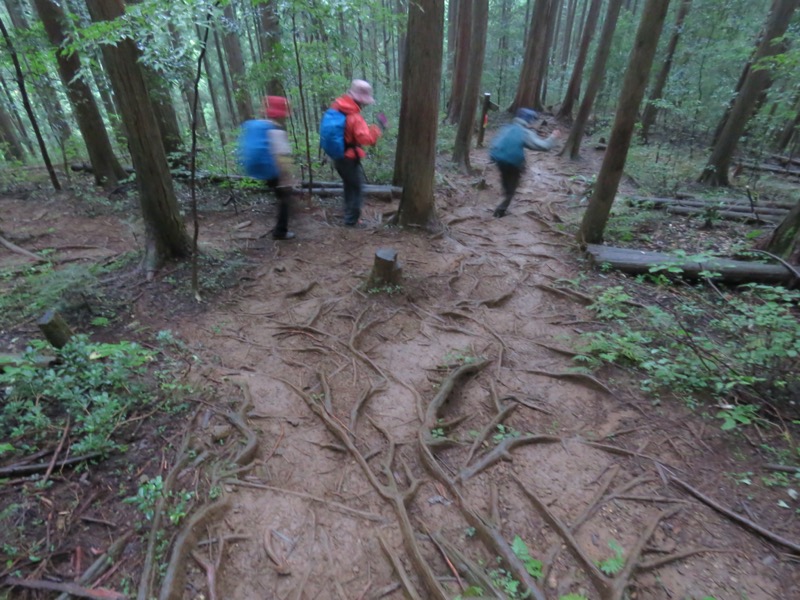 白谷沢、棒ノ嶺