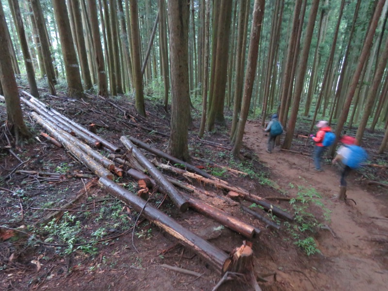 白谷沢、棒ノ嶺