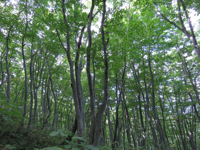 岩木山