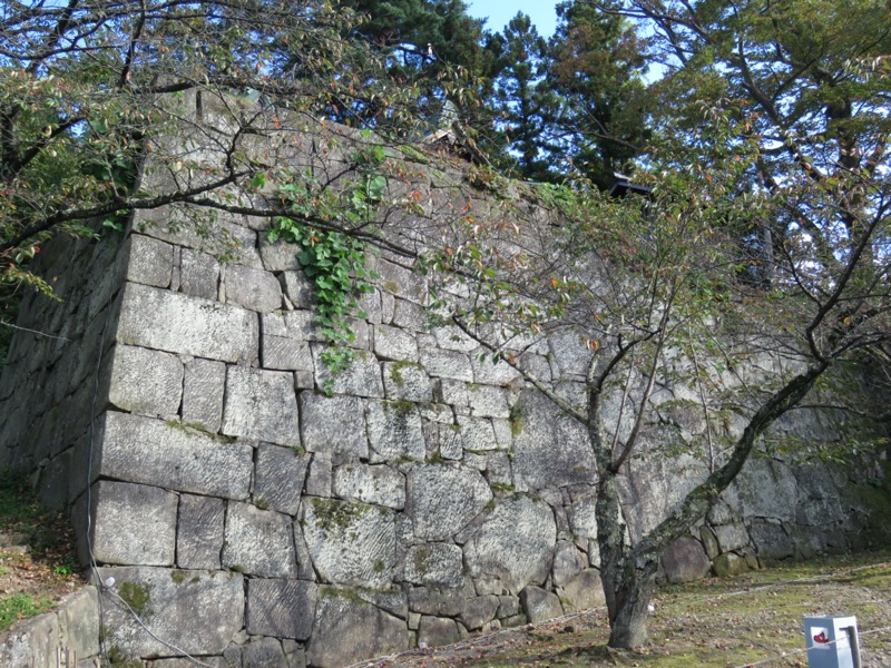 会津若松、背あぶり山