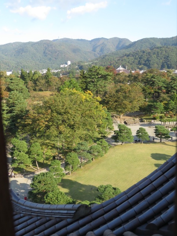 会津若松、背あぶり山