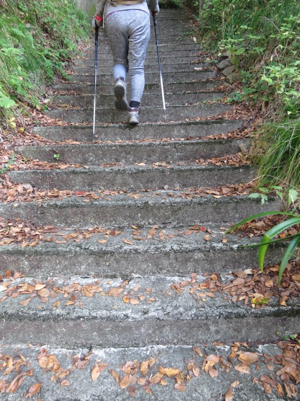 会津若松、背あぶり山