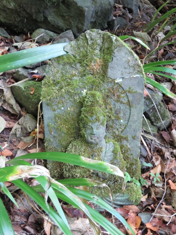 会津若松、背あぶり山