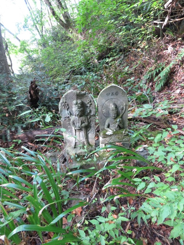 会津若松、背あぶり山