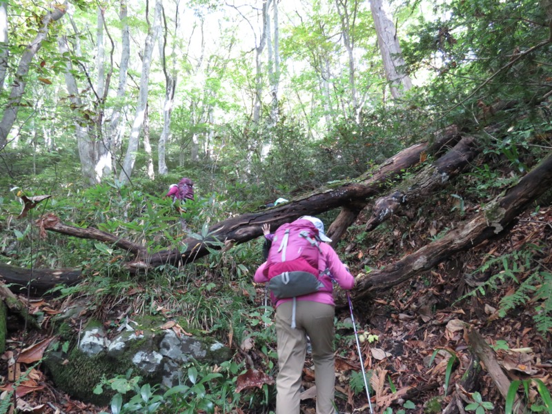 会津若松、背あぶり山