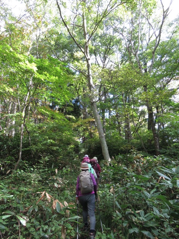 会津若松、背あぶり山