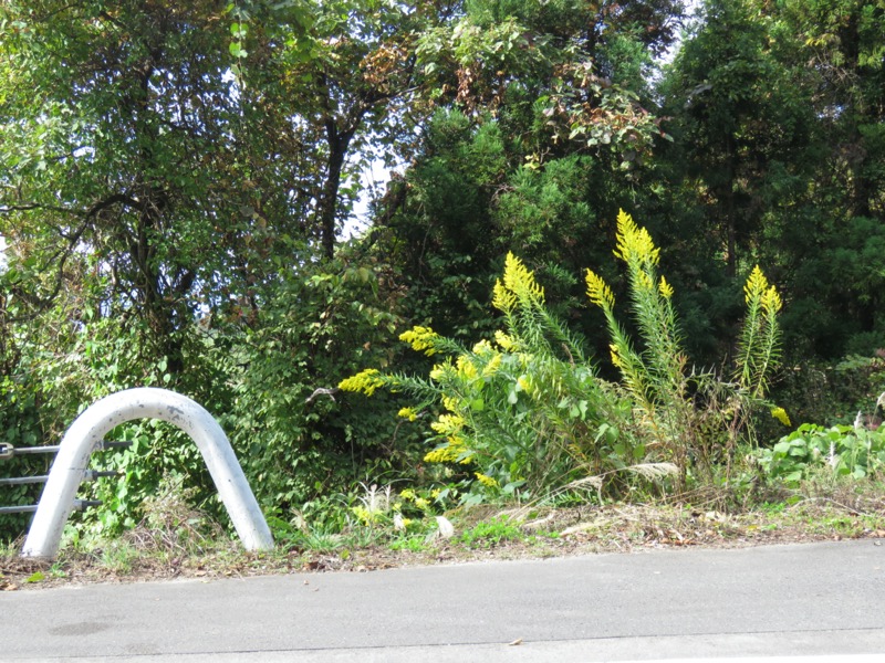 会津若松、背あぶり山