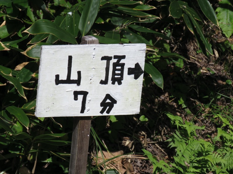 会津若松、背あぶり山