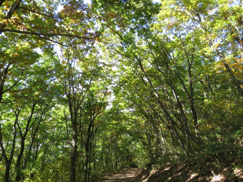 会津若松、背あぶり山