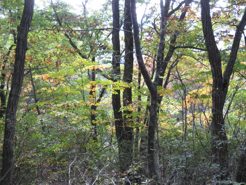 会津若松、背あぶり山