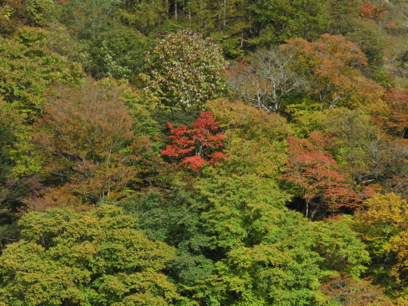 西沢渓谷