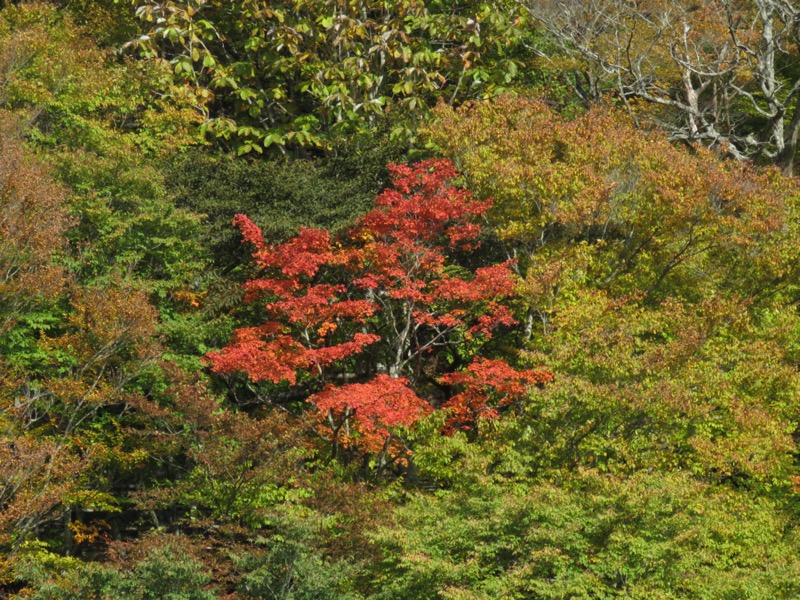 西沢渓谷