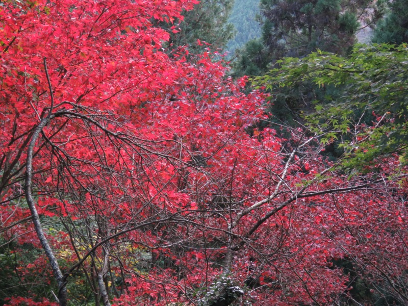 御岳山