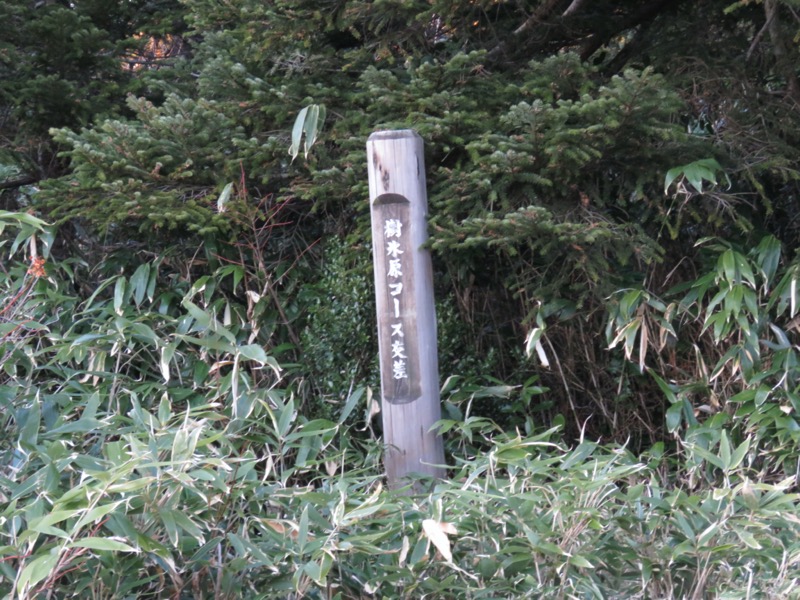 蔵王、面白山紅葉川、山寺