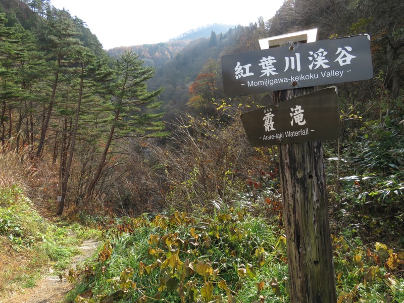 蔵王、面白山紅葉川、山寺