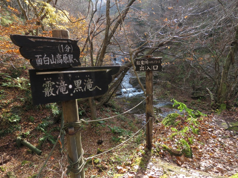 蔵王、面白山紅葉川、山寺